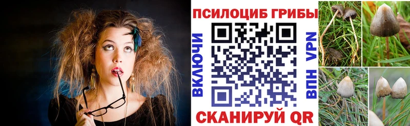 Псилоцибиновые грибы MAGIC MUSHROOMS  Юрюзань 