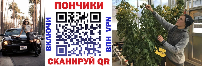 продажа наркотиков  Юрюзань  Шишки марихуана индика 